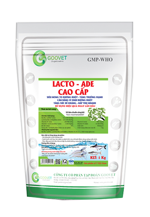 LACTO – ADE CAO CẤP
